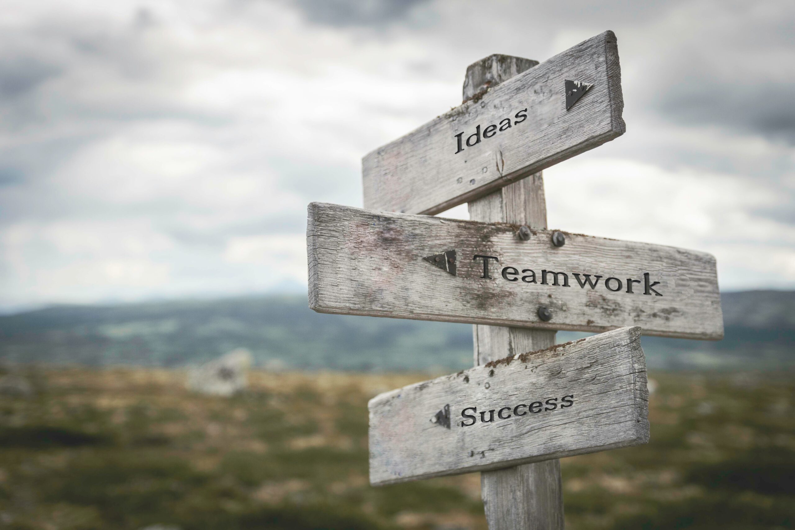 Organizational Change