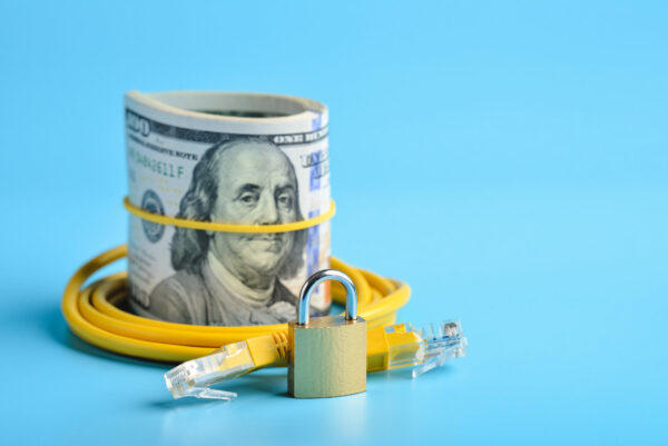 Money, network cable and padlock: protection and cyber security concept