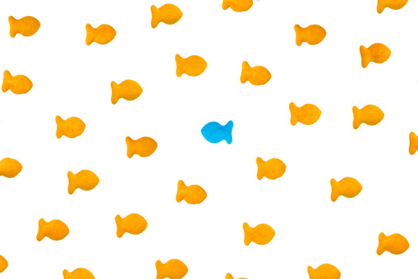 Numerous orange goldfish-shaped crackers are scattered across a white background with a single blue goldfish cracker standing out in the center, creating a visual metaphor for uniqueness.