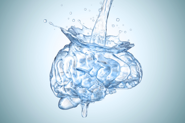 The brain is filled with water.