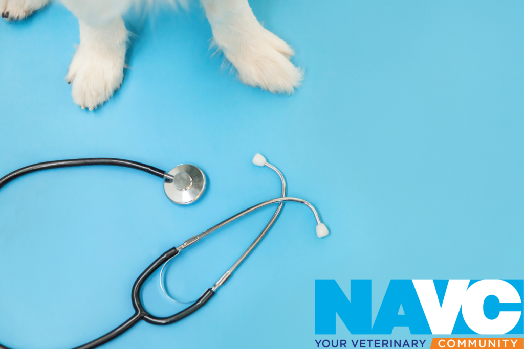 A blue background with a doctor stethoscope in front and puppy paws in the corner. There is a NAVC company logo in the corner as well.