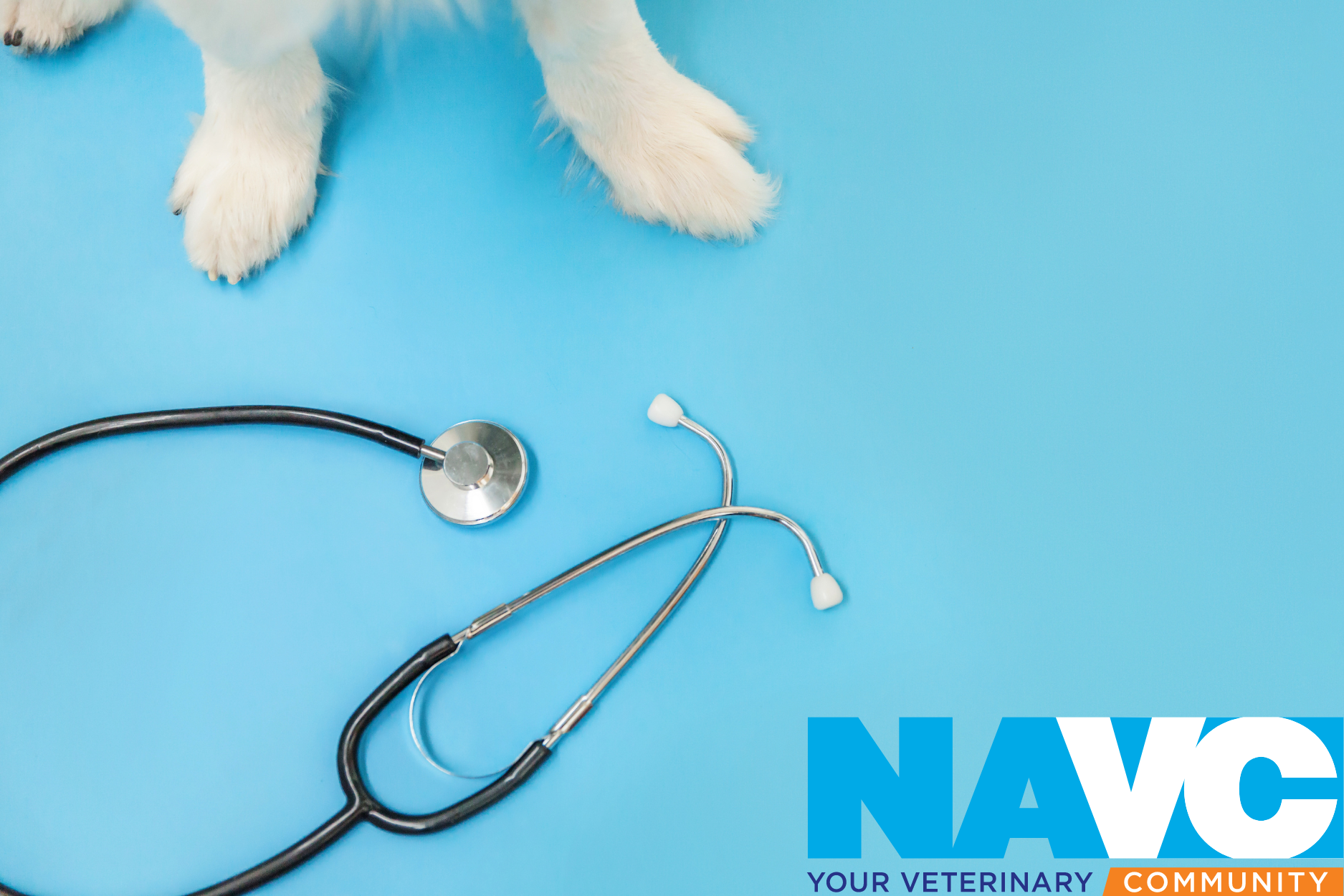 A blue background with a doctor stethoscope in front and puppy paws in the corner. There is a NAVC company logo in the corner as well.