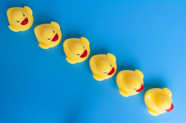 Top view of rubber ducks in line with customizable space for text