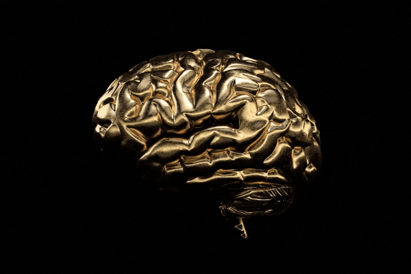 Human brain made of gold isolated. 3D illustration