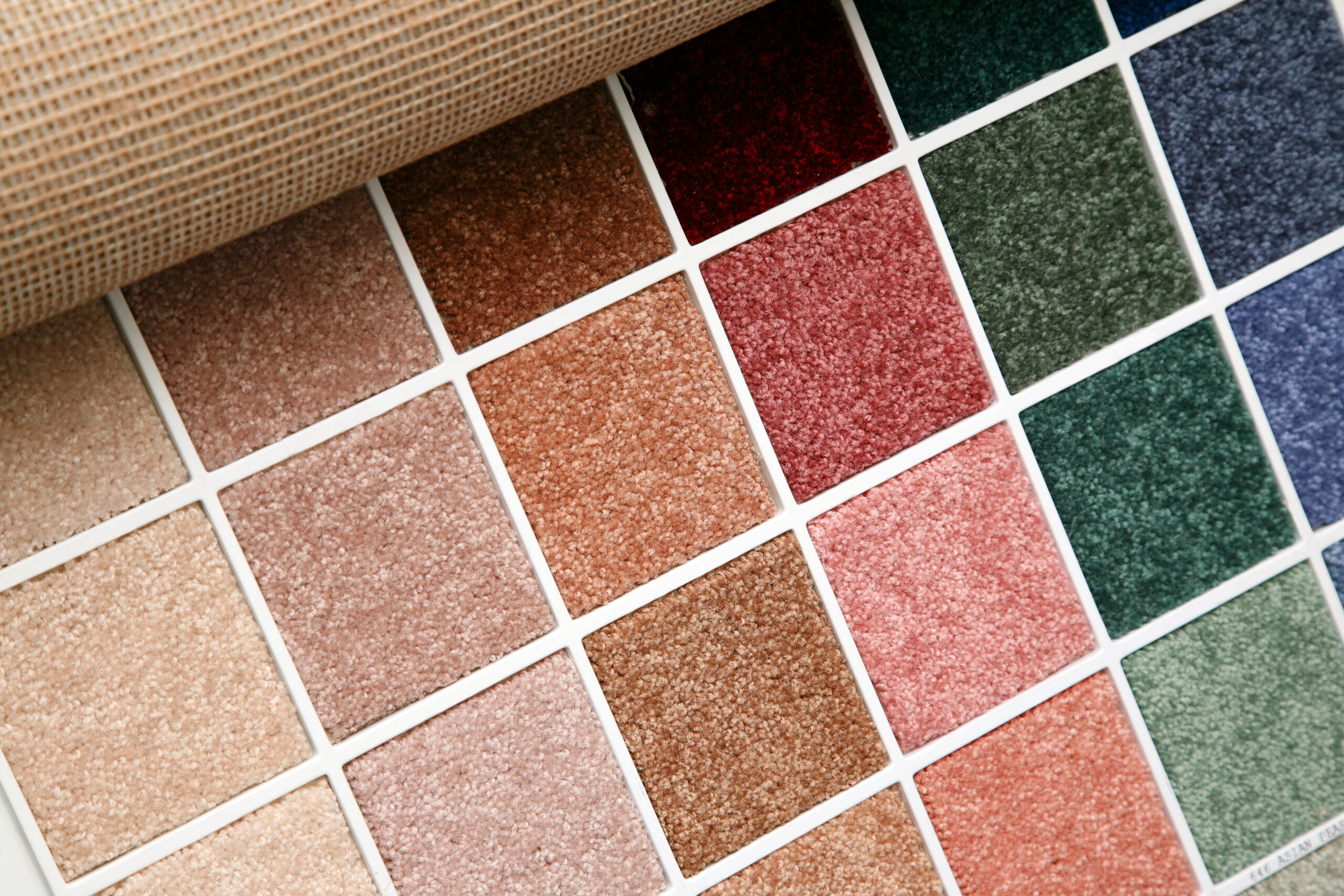 Samples of color of a carpet covering