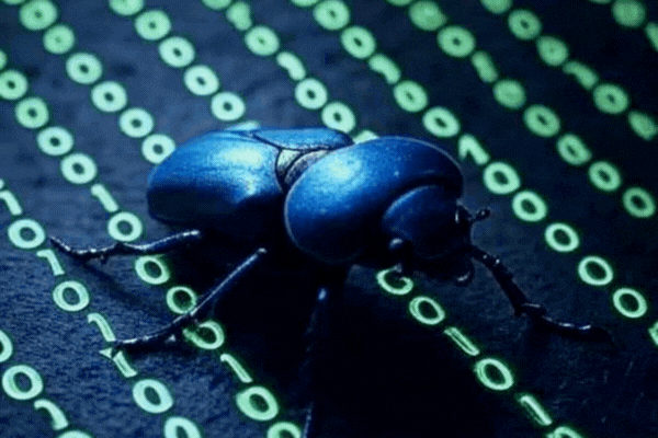 Beetle crawling across screen
