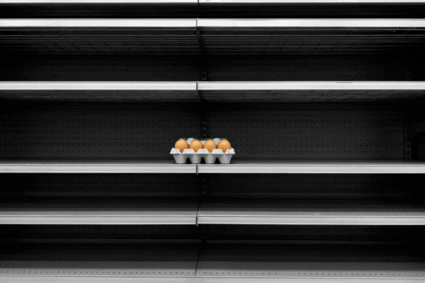 Empty grocery shelves with a lone carton of eggs on display in a supermarket aisle.