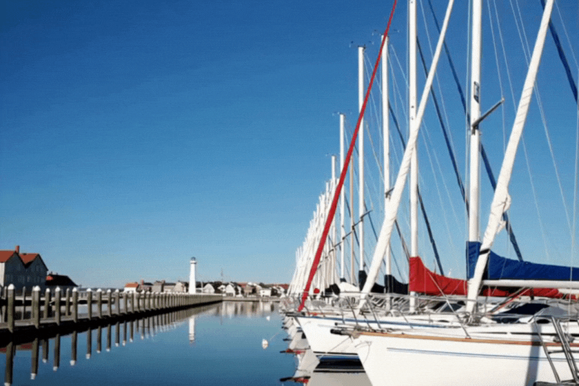 Sailboats docked at a marina