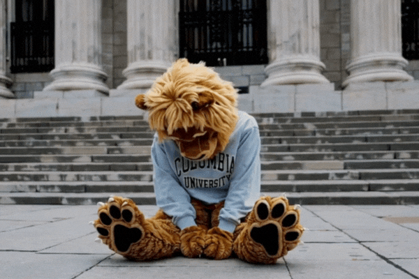 Columbia Lion