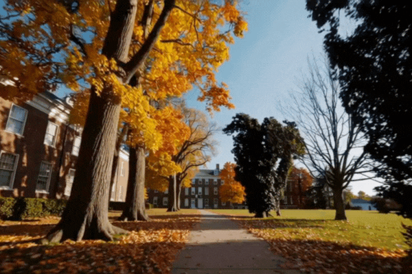 Walking POV on a college campus
