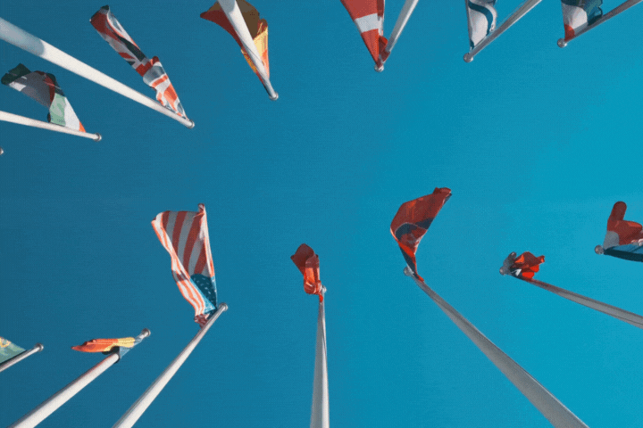 Different flags fluttering on flagpoles.