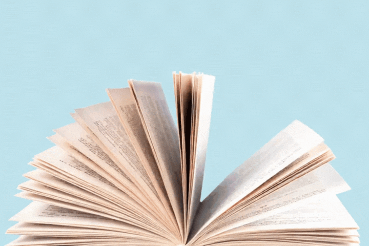 LMM TNCR Graphic 600 x 400 - 2025-12-05T115237.208