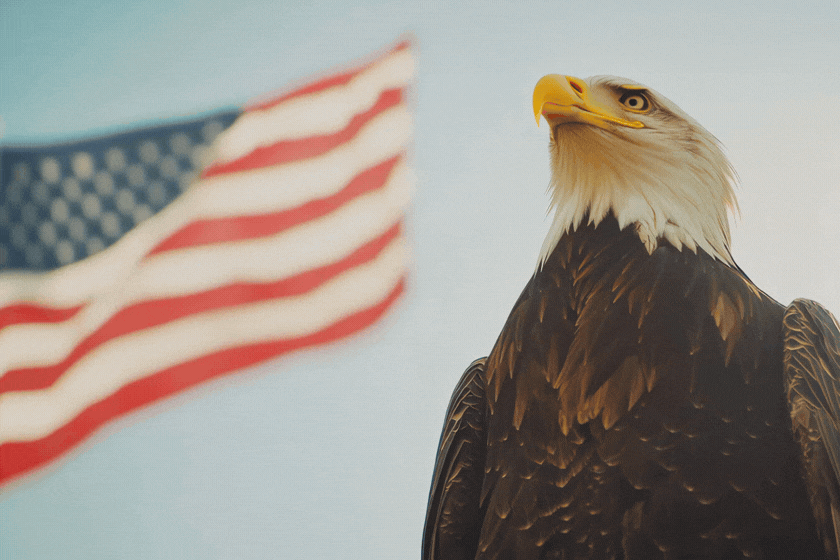 LMM TNCR Graphic 600 x 400 - 2026-02-04T092100.090