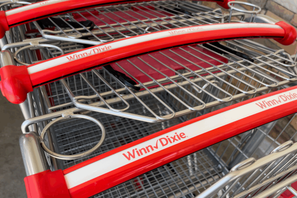 NORTH PORT, FLORIDA - FEBRUARY 27, 2023 : Winn-Dixie grocery store shopping carts. Winn-Dixie is an American supermarket chain that operates more than 500 locations.