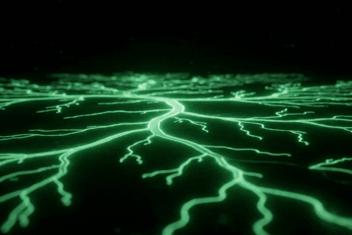 LMM TNCR Graphic 600 x 400 - 2026-03-16T131344.534