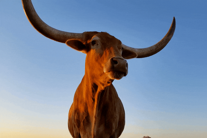 LMM TNCR Graphic 600 x 400 - 2026-03-24T150928.195