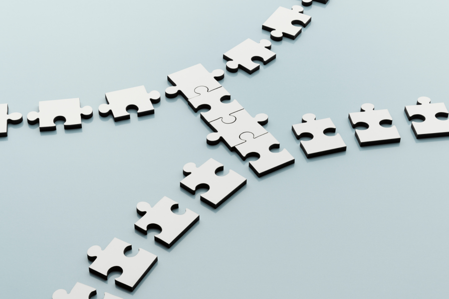 LMM TNCR Graphic 600 x 400 (91)