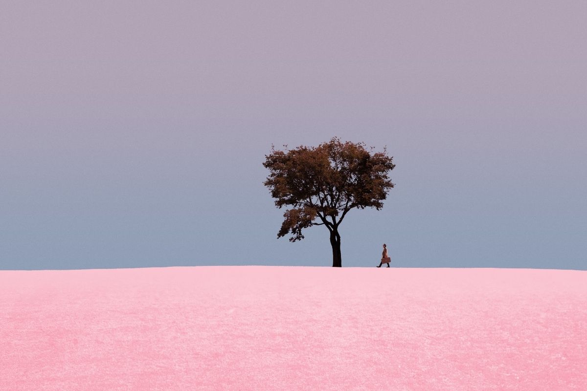 AdobeStock_1906654995