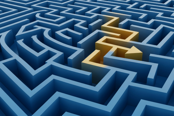 Maze, Compliance, Leadership, Cybersecurity, Risk Management
